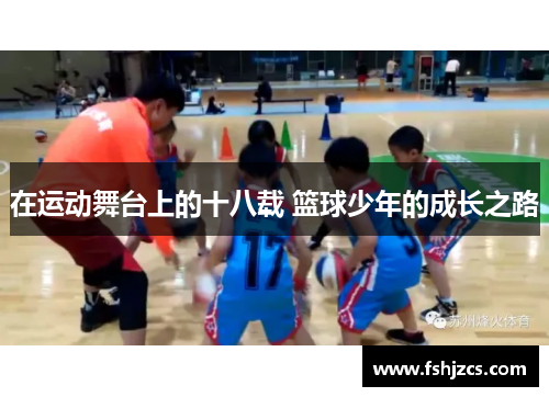 在运动舞台上的十八载 篮球少年的成长之路